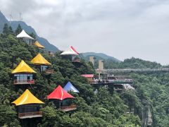 -梦幻奥陶纪景区