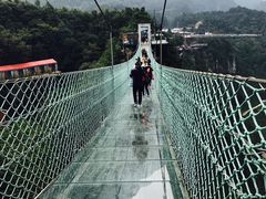 -梦幻奥陶纪景区