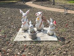 -同济大学(嘉定校区)