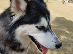 -大洋晶典(东街店)