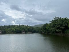 -清迈夜间动物园