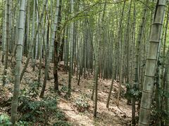 -九龙潭景区