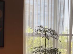-阿纳迪酒店·悦餐厅