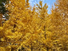 -西北湖绿化广场