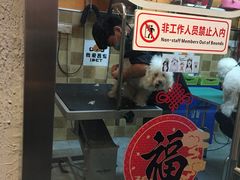 -我爱吾宠宠物美容院(朝阳路店)
