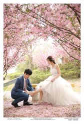 点击看大图 -天一婚纱摄影TIA STUDIO(珠海路店)
