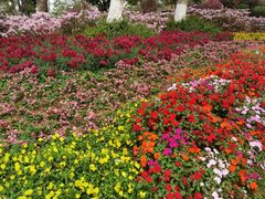 -东莞植物园