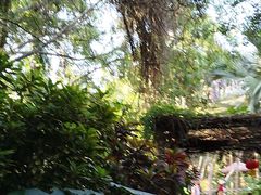 -海南热带野生动植物园