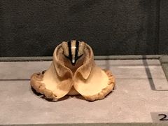 -东京国立博物馆