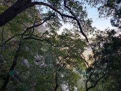 -北京鹫峰国家森林公园