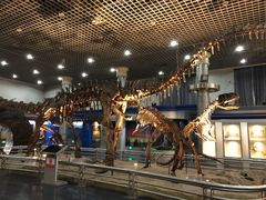 -国家自然博物馆