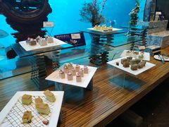 -瑞德姆美人鱼海底演艺主题餐厅(亚龙湾店)