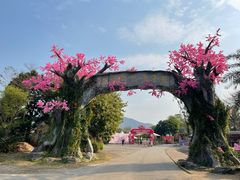 -天适樱花悠乐园