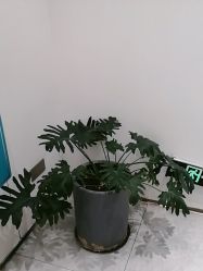 -奥本瑜伽·普拉提