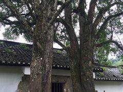 -毛泽东同志旧居