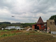 -空港花田景区