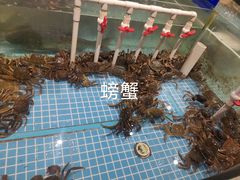 -大润发购物广场名烟名酒(九全嘉国际店)