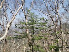 -白草畔自然风景区