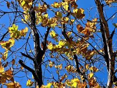 -帽儿山国家森林公园