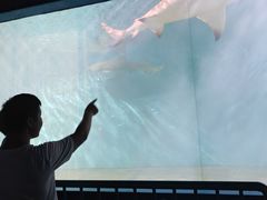 -北戴河圣蓝海洋公园