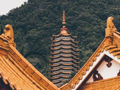-深圳仙湖植物园