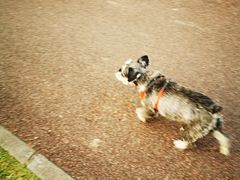 -白鹭湾湿地公园