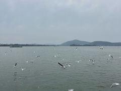 -蠡湖大桥公园