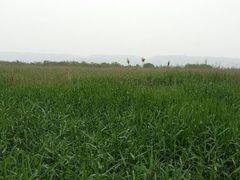 android_upload_pic-处女泉风景名胜区