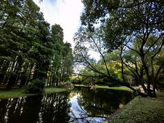 -上海共青森林公园