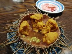 -桂马·日本料理·海胆·海鲜饭·酒场(民主广场店)