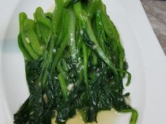 生炒广东菜心-大树餐厅(红旗街万达店)