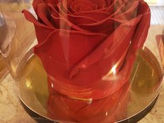 玫瑰-老佛爷饼店