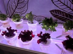 -香港会议展览中心演讲厅