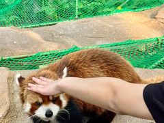 景点-北京野生动物园