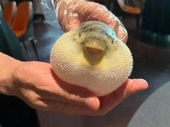 -肆月河豚·淮扬菜·湘菜(华天店)