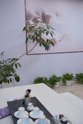 -紫琪尔胸部养护中心