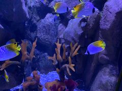 -成都浩海立方海洋公园