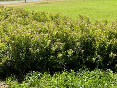 -汉长安城未央宫国家考古遗址公园