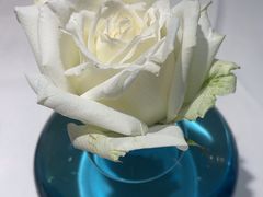 -孔雀川菜(万象天地店)