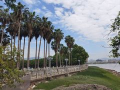 -江心屿景区