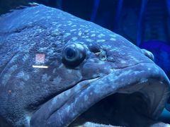 -亚特兰蒂斯水世界冒险乐园