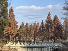 -狼山风景名胜区