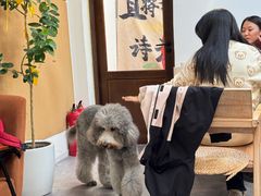 -沏点Trattoria意大利餐厅(新街口店)