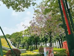 -文华公园(禅城区)