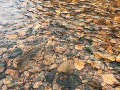 -兰河峪第117加油站