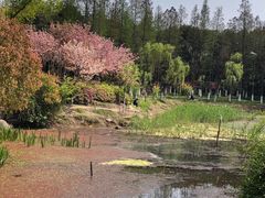 -昆山城市公园