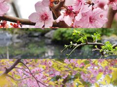 -静安雕塑公园
