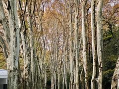 -雨花台烈士纪念馆