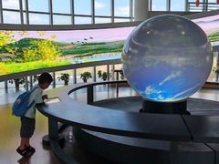 -漩门湾国家湿地公园