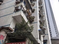 -鸿顺老铁锅美蛙鱼府(解放碑店)